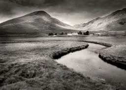 Ishaaz – Eau de Parfum Where balance meets boldness. - Image 2