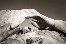 Ishaaz – Eau de Parfum Where balance meets boldness. - Image 3